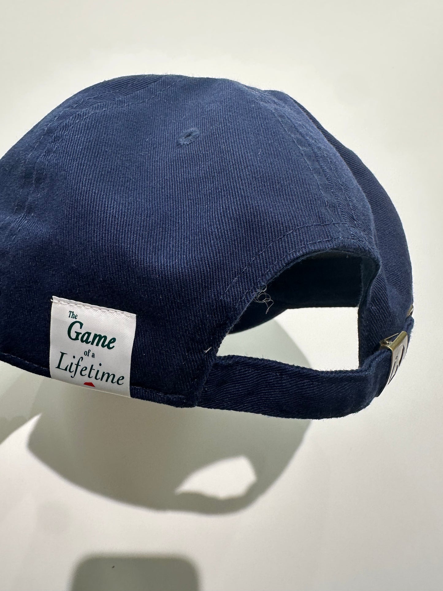 SALVAGE PUBLIC MENS Panel cap (The Grass)
