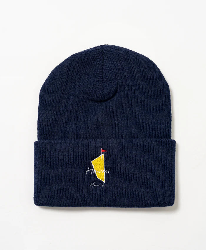 SALVAGE PUBLIC MENS knit beanie(DH MASTERS)