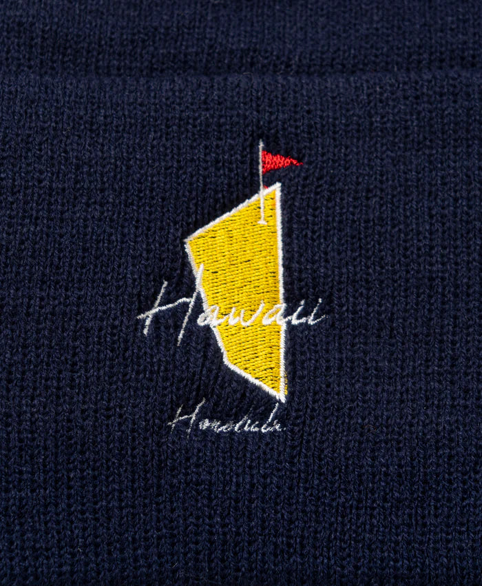 SALVAGE PUBLIC MENS knit beanie(DH MASTERS)