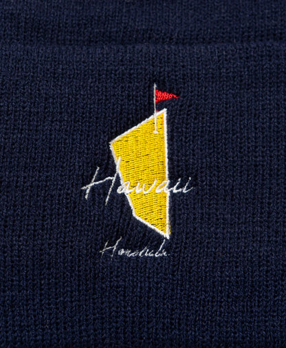 SALVAGE PUBLIC MENS knit beanie(DH MASTERS)