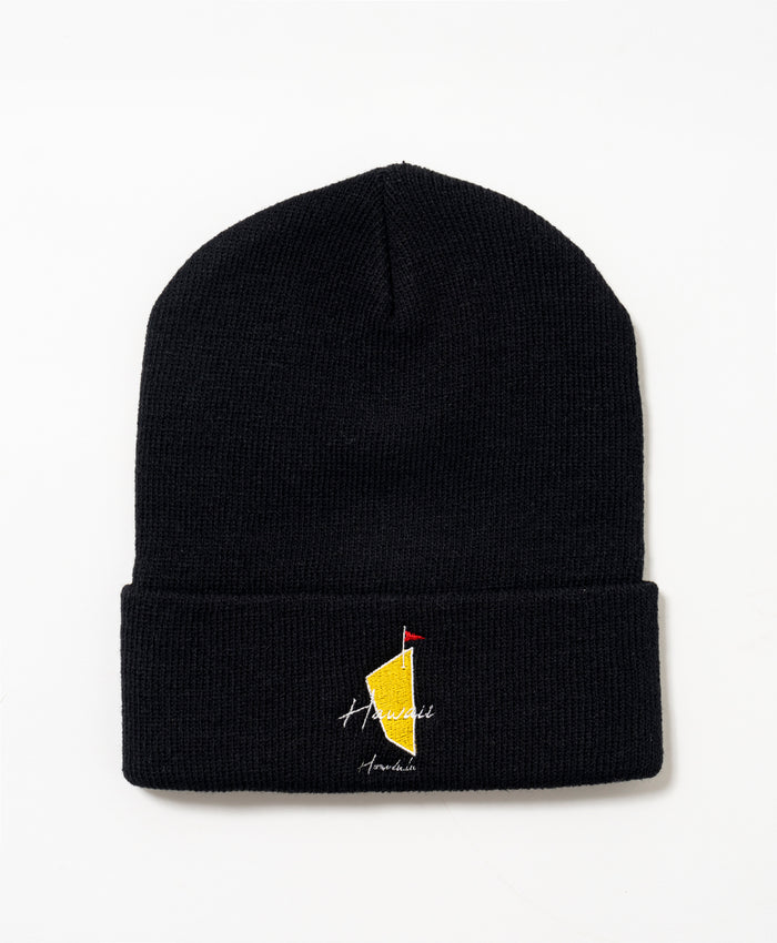 SALVAGE PUBLIC MENS knit beanie(DH MASTERS)