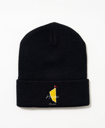 SALVAGE PUBLIC MENS knit beanie(DH MASTERS)