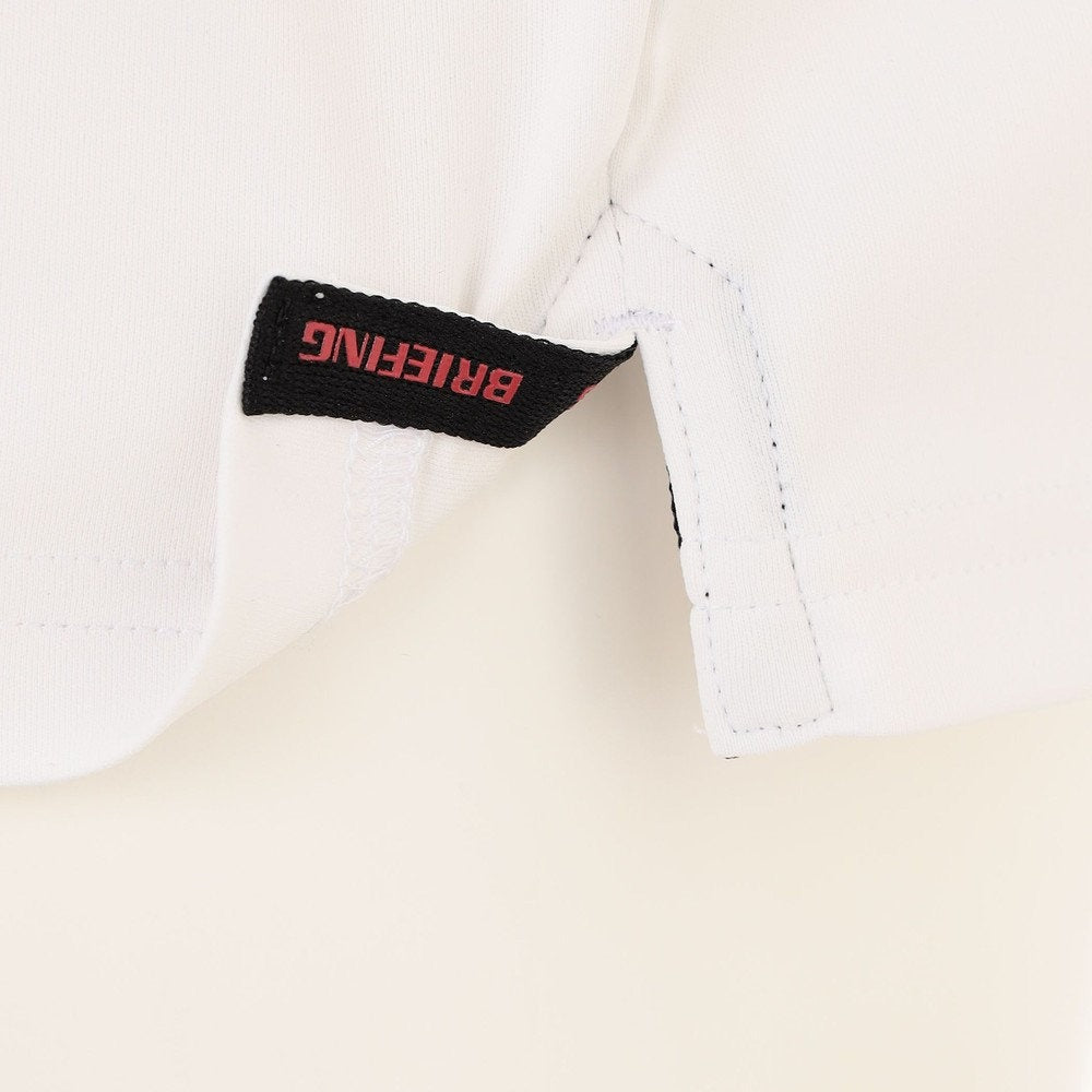 BRIEFING MENS MS PANEL STRIPE POLO RF