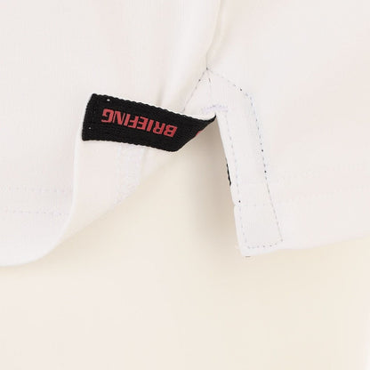 BRIEFING MENS MS PANEL STRIPE POLO RF