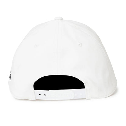 V12 MENS PO CAP