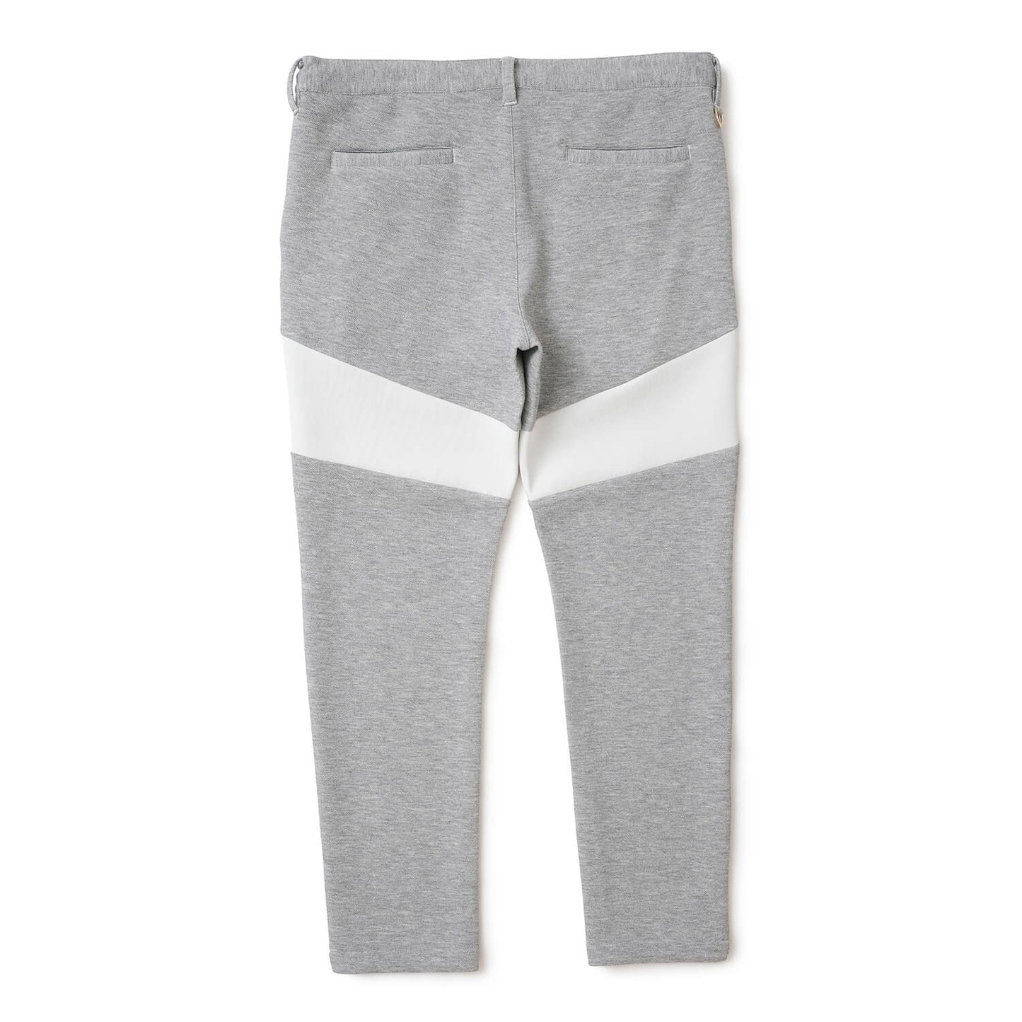 V12 MENS SW HC PANTS